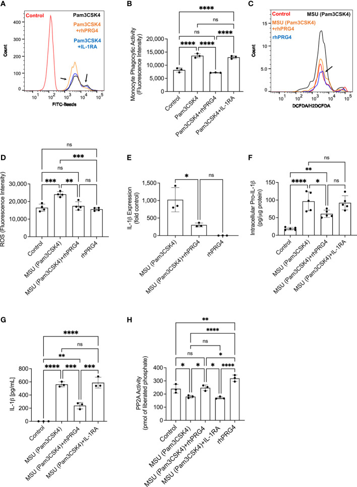 Figure 4