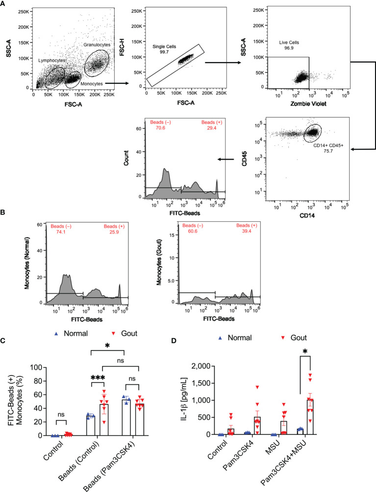 Figure 1