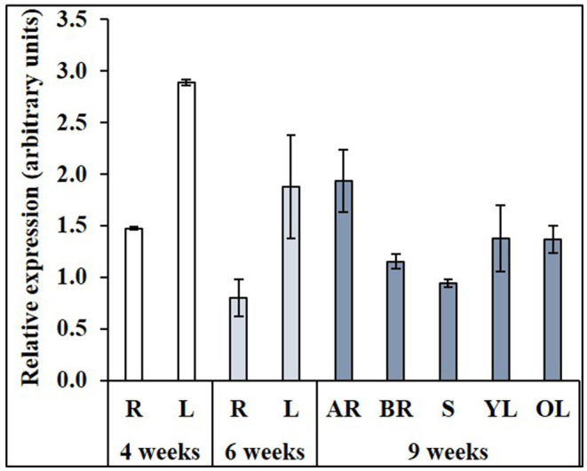 Figure 5