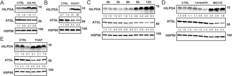 Figure 3