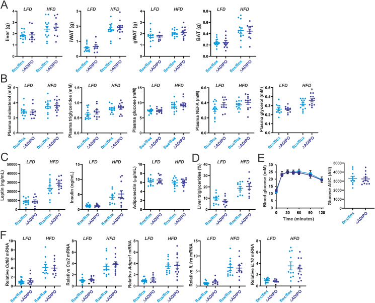 Figure 7