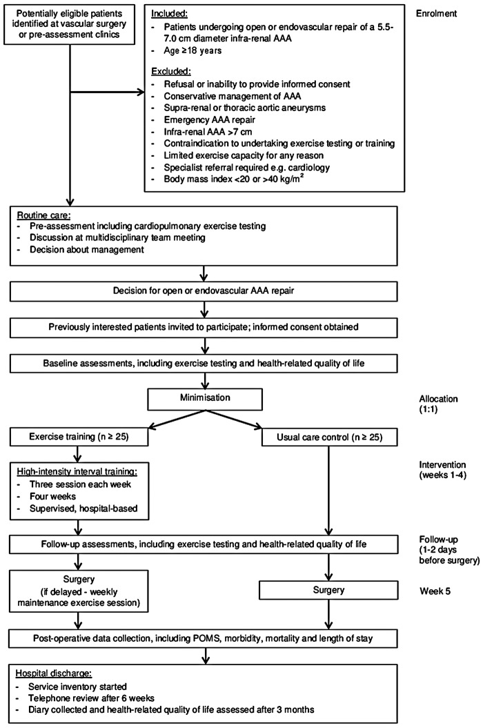 Figure 1