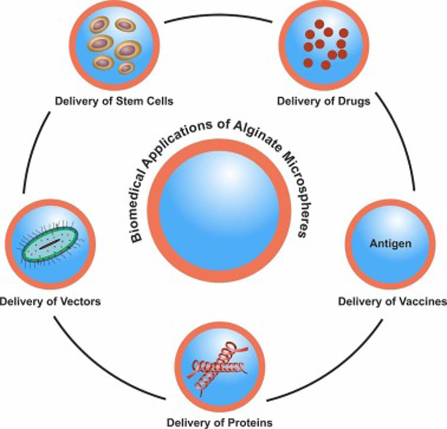 Figure 2: