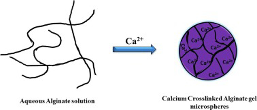 Figure 1: