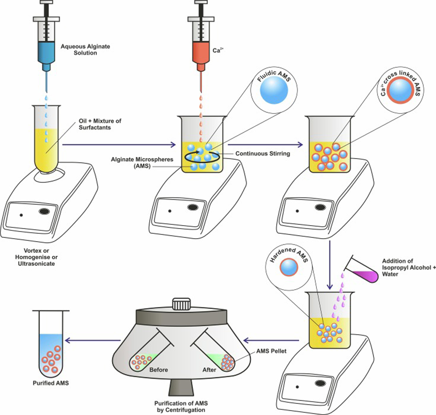 Figure 3: