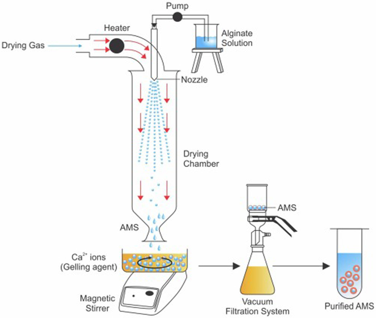 Figure 4: