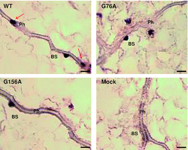 Figure 10.