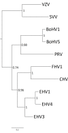 Fig 2