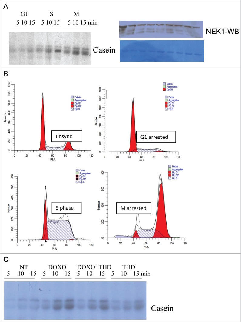 Figure 5.