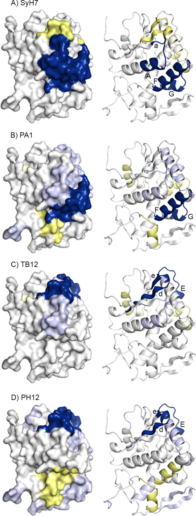 FIG 6