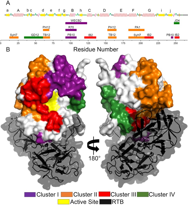 FIG 10