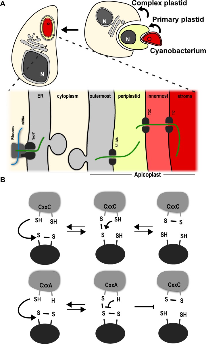 Fig 1