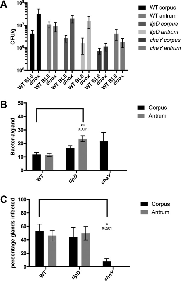 FIG 3