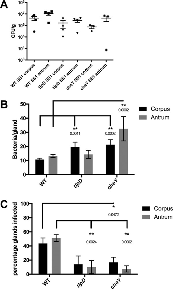 FIG 1