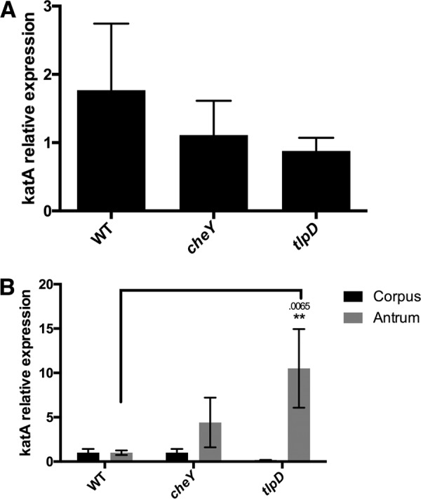 FIG 2