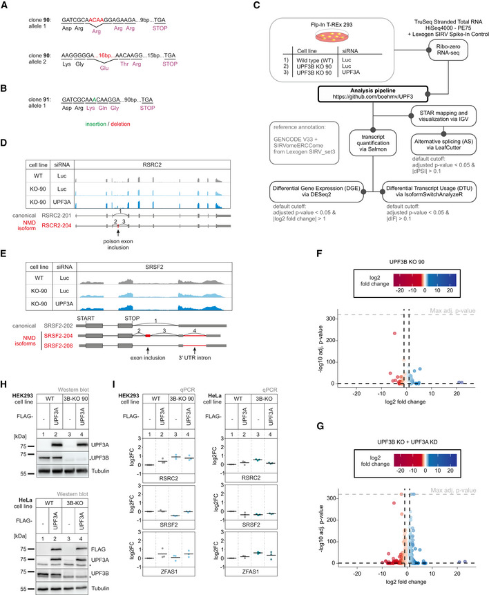 Figure EV3