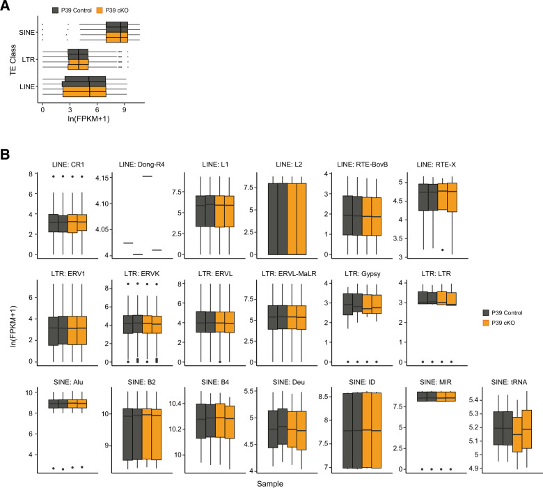 Figure 3—figure supplement 2.