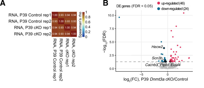 Figure 3—figure supplement 1.