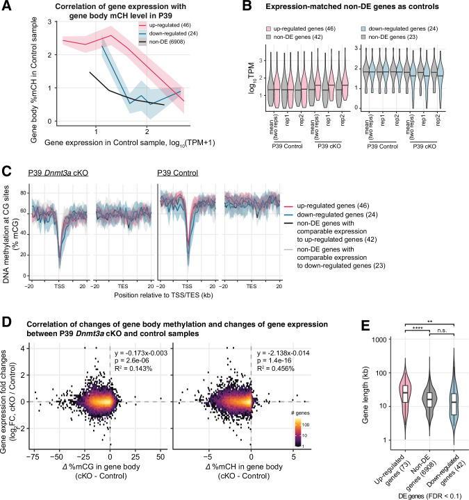 Figure 3—figure supplement 4.