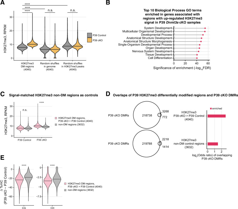 Figure 4—figure supplement 3.