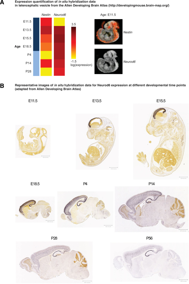 Figure 1—figure supplement 1.