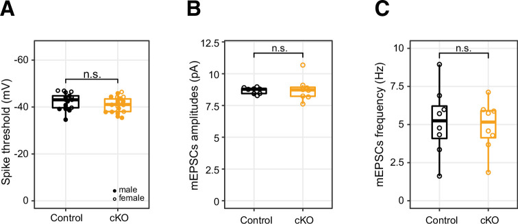 Figure 2—figure supplement 2.