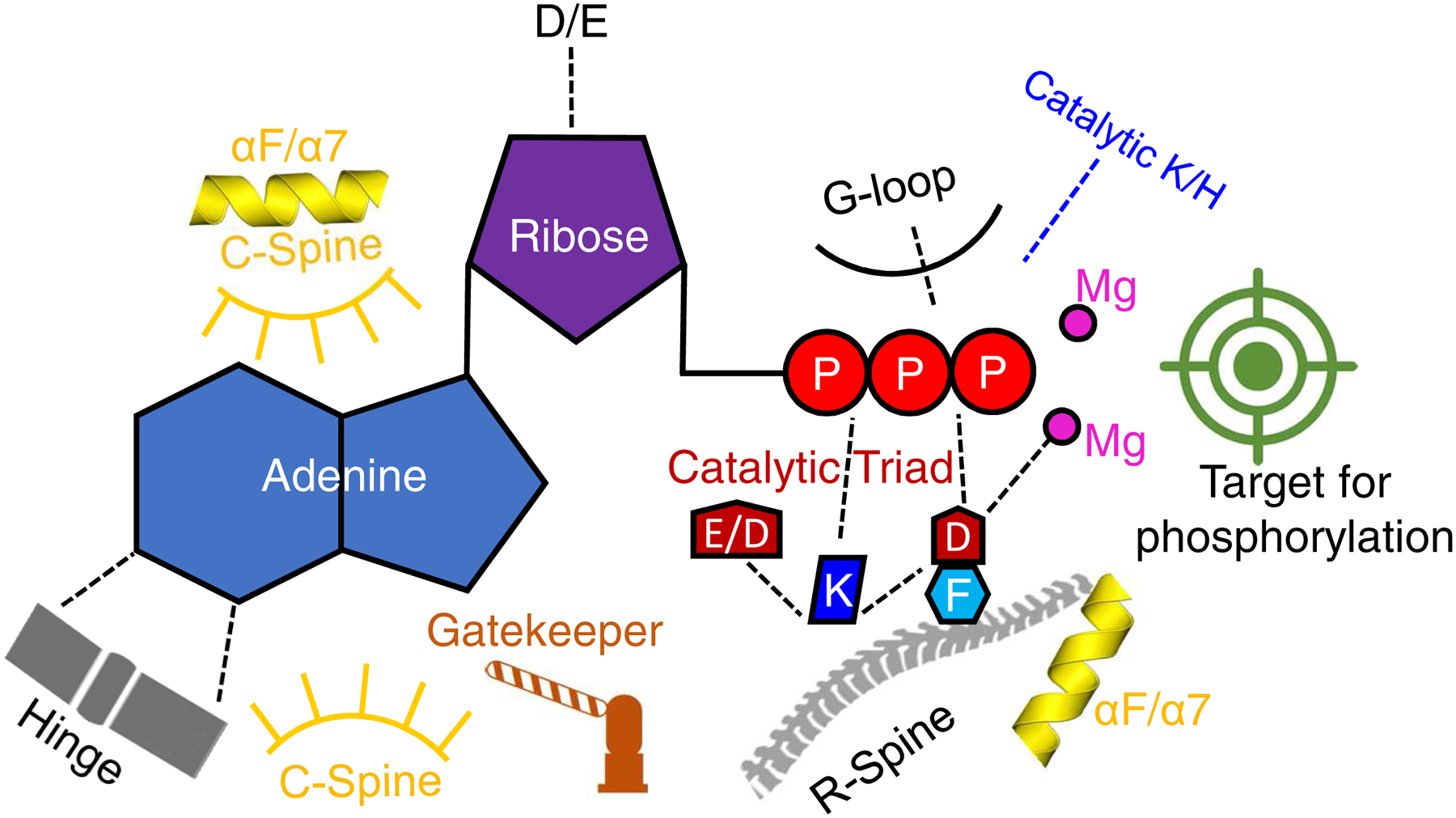 Fig. 6.