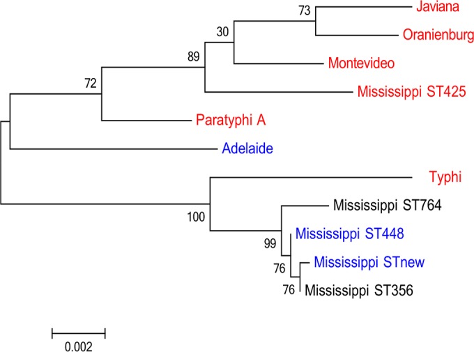 FIG 1 