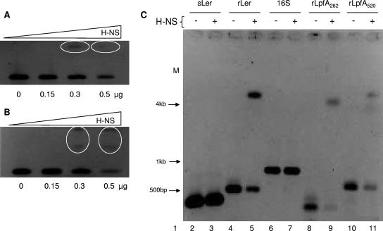 FIG. 5.