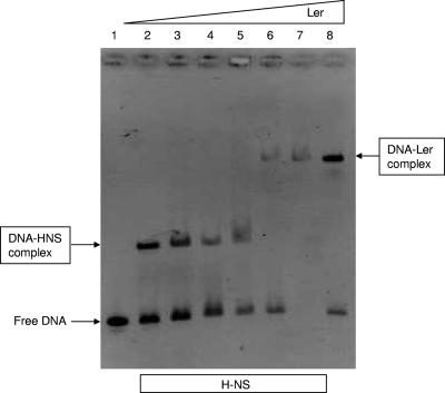 FIG. 7.