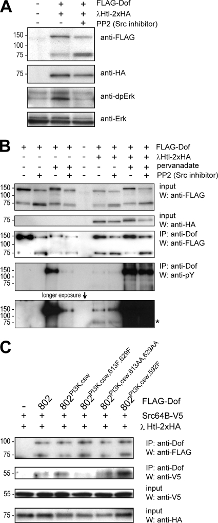 FIG. 6.