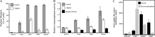 FIGURE 2.