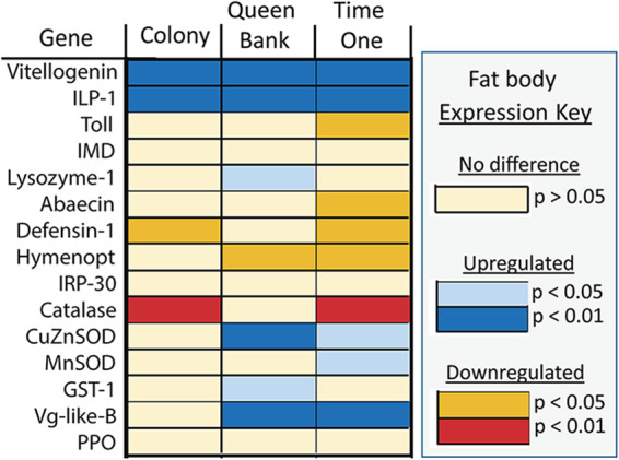 FIG 4