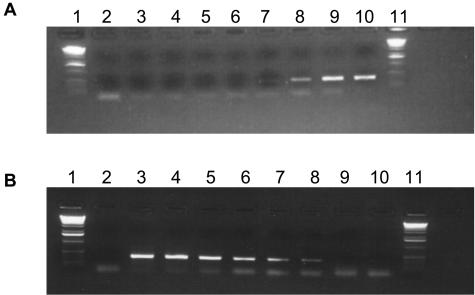 FIG. 5.