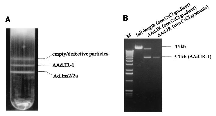 FIG. 6