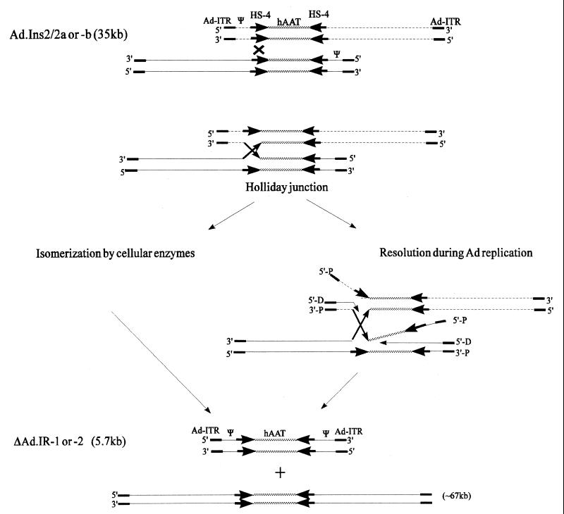 FIG. 3