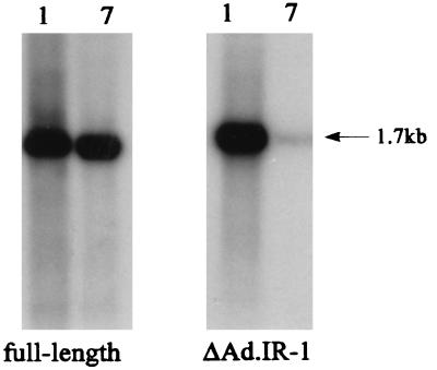 FIG. 9