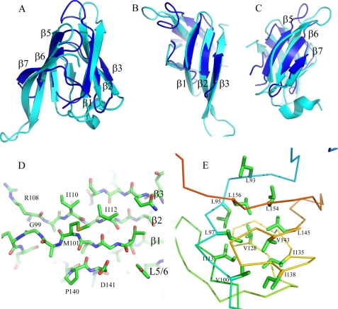 FIGURE 2.