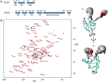 FIGURE 1.