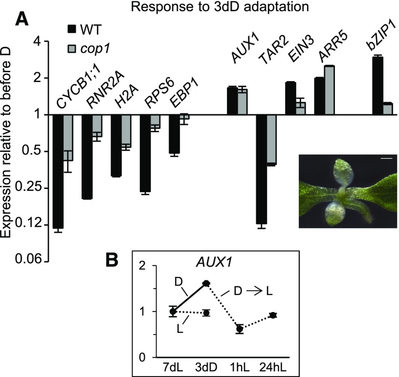 Figure 6.