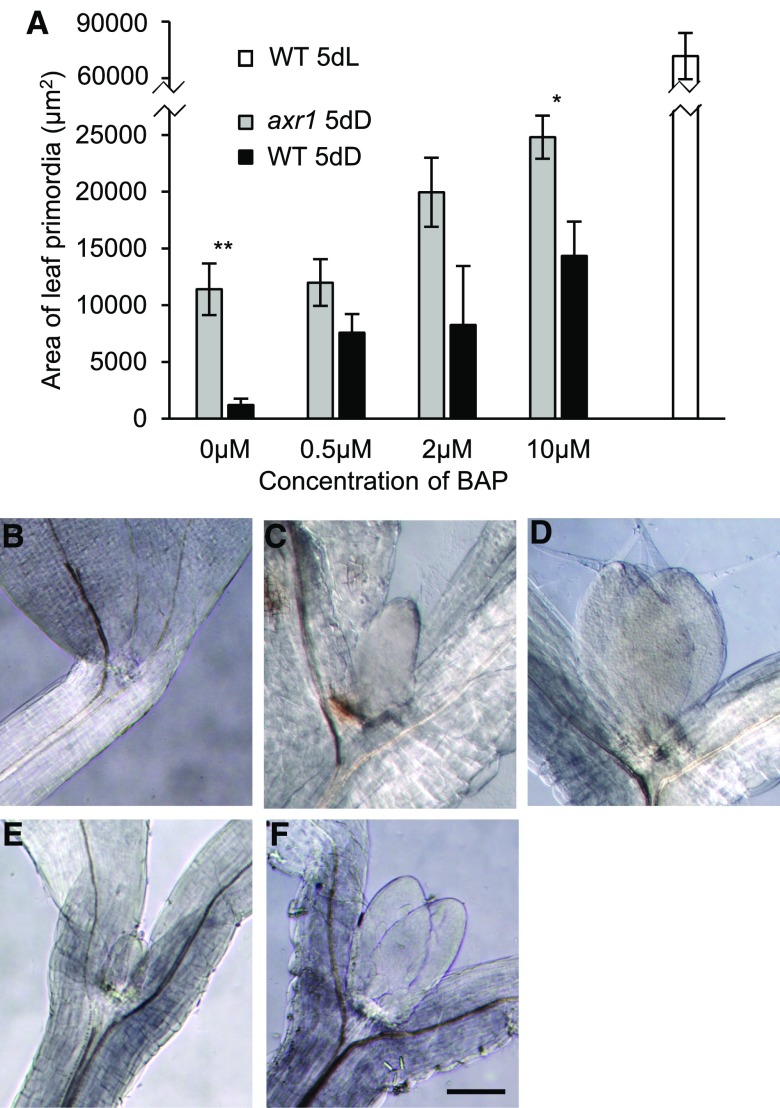 Figure 3.