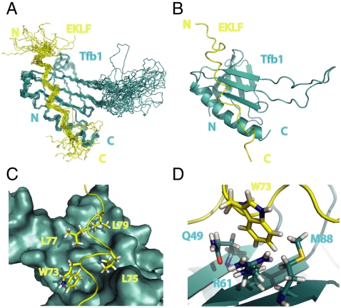 Fig. 3.