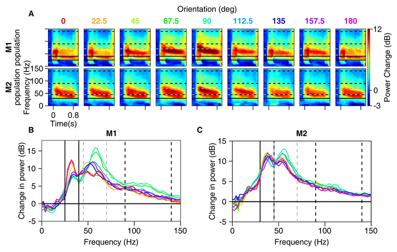 Figure 1-2