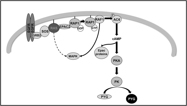 Figure 10.