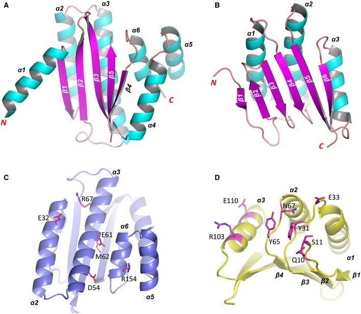 Figure EV3