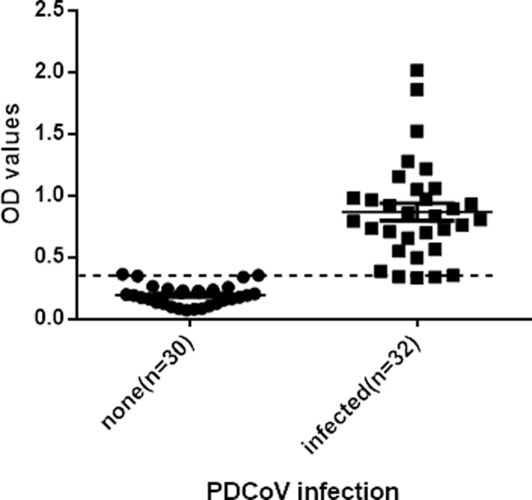 Development and application of a recombinant m protein based indirect