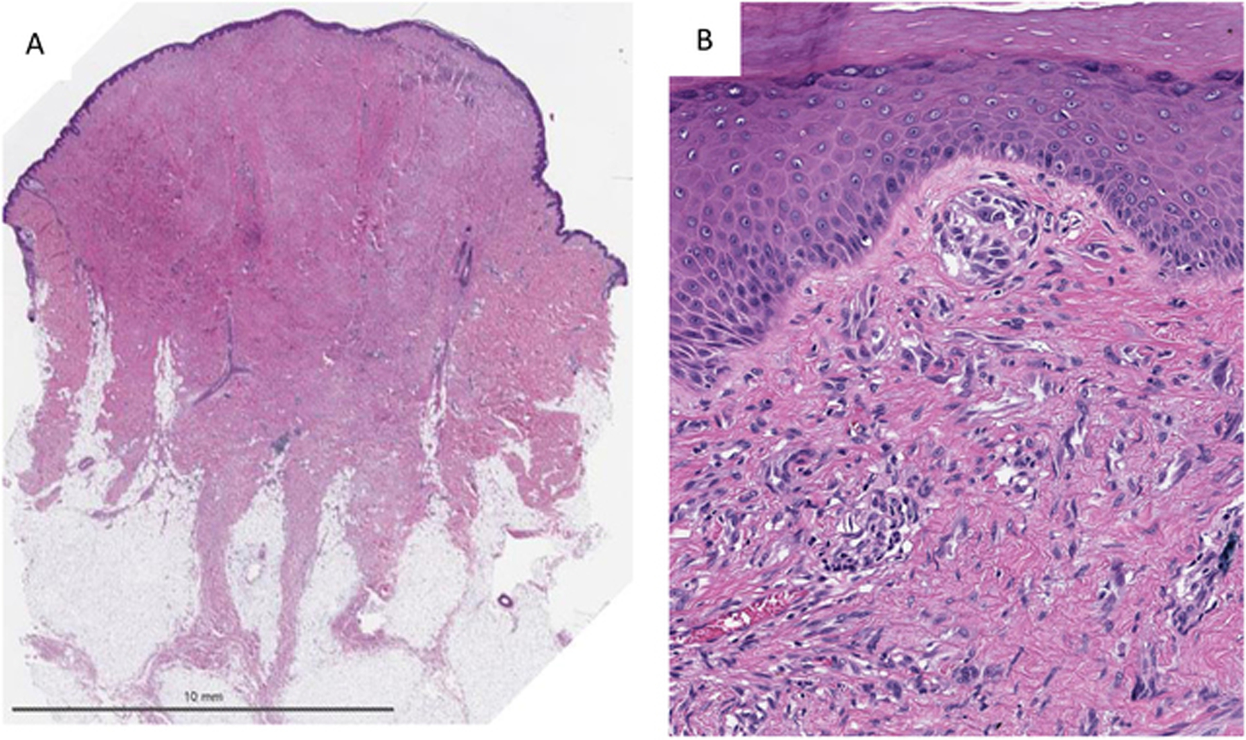 Figure 3)