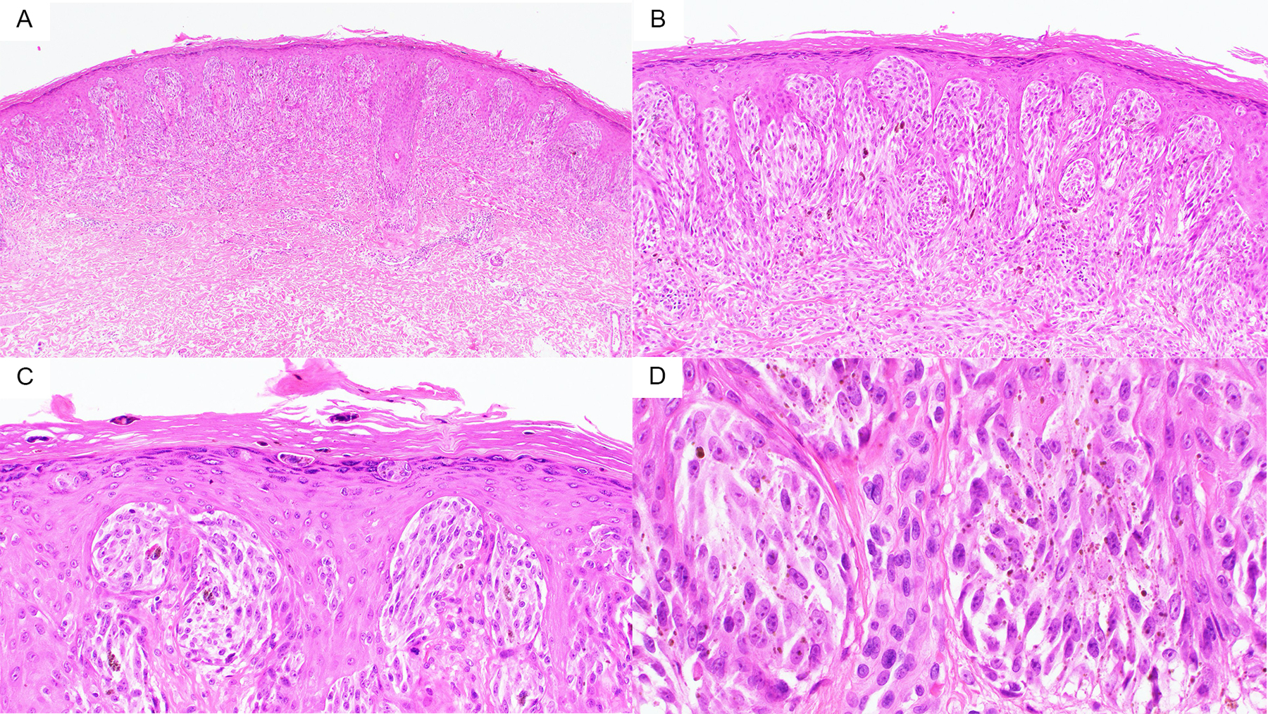 Figure 1)