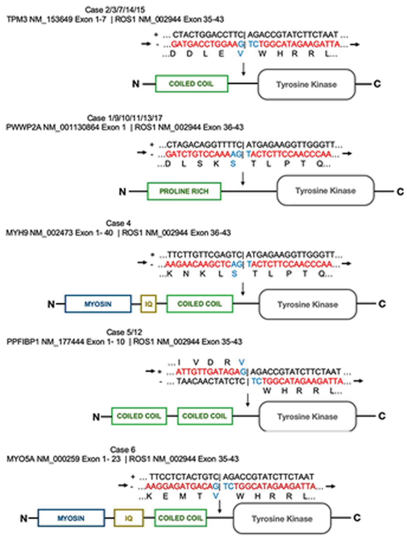 Figure 5)