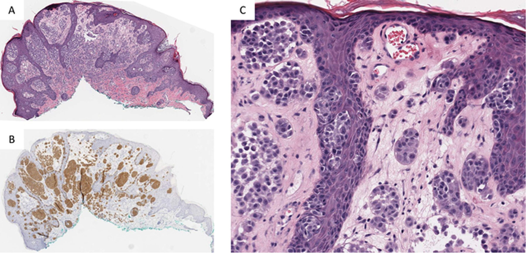 Figure 4)